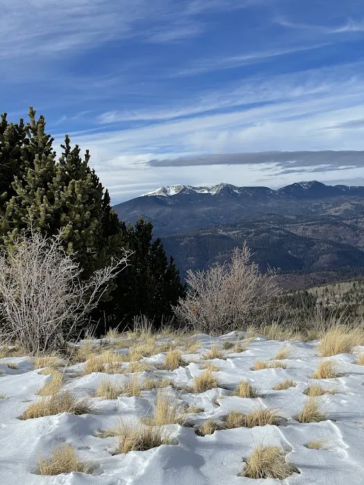 Links Tract Campground (recgovnpsdata) Picture 3