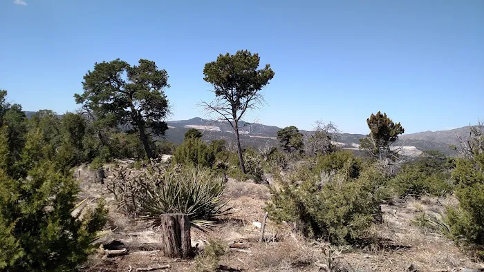 Links Tract Campground (recgovnpsdata) Picture 2