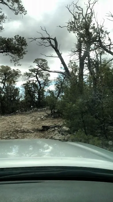 Links Tract Campground (recgovnpsdata) Picture 1