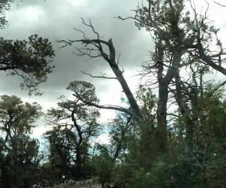 Links Tract Campground (recgovnpsdata)