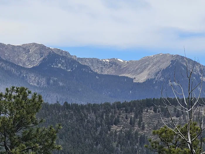 Links Tract Campground (recgovnpsdata) Picture 5