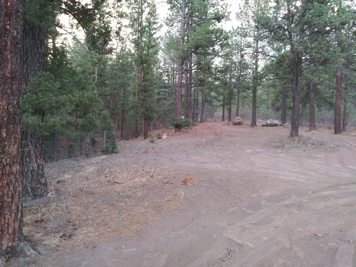 Davis - Willow Dispersed Campground Picture 4