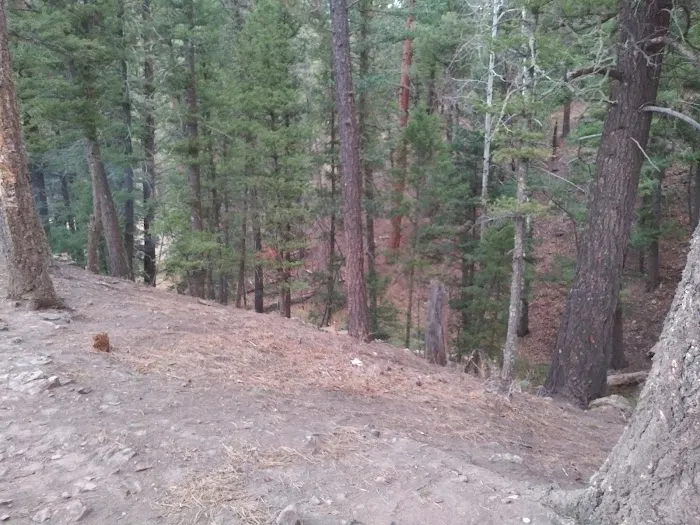 Davis - Willow Dispersed Campground Picture 3