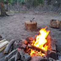 Davis - Willow Dispersed Campground ico