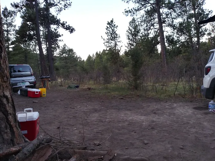 Davis - Willow Dispersed Campground Picture 6
