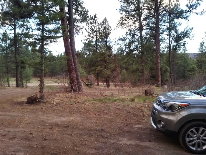 Davis - Willow Dispersed Campground Picture 5