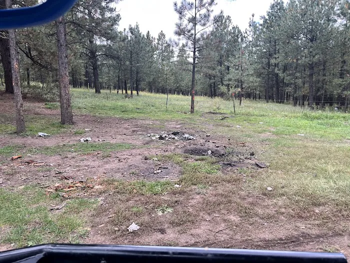 Davis - Willow Dispersed Campground Picture 10