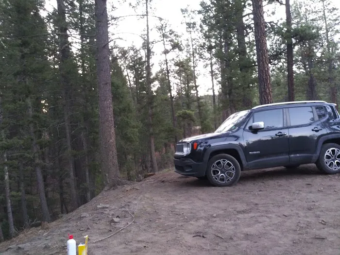 Davis - Willow Dispersed Campground Picture 8