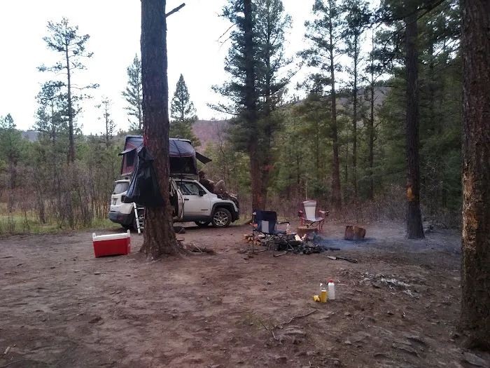 Davis - Willow Dispersed Campground Picture 7