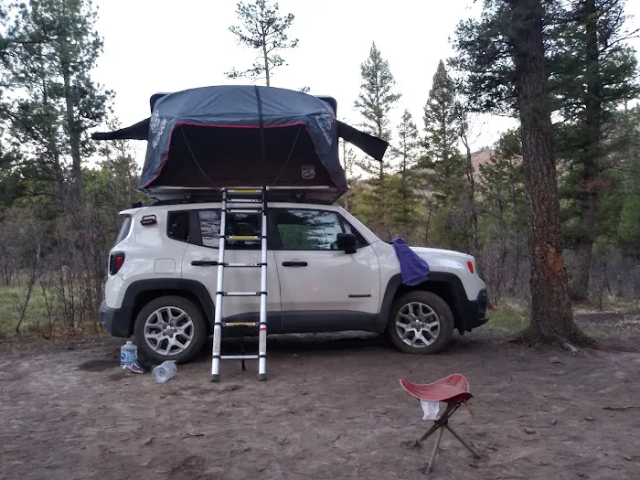 Davis - Willow Dispersed Campground Picture 9