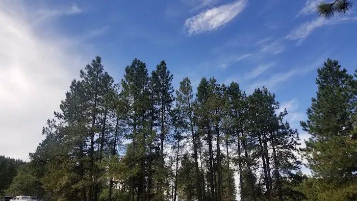 Bert Clancy Campground Picture 1