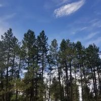Bert Clancy Campground ico