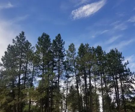Bert Clancy Campground