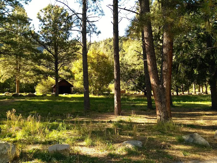 Santa Fe National Forest Field Tract Campground Picture 8