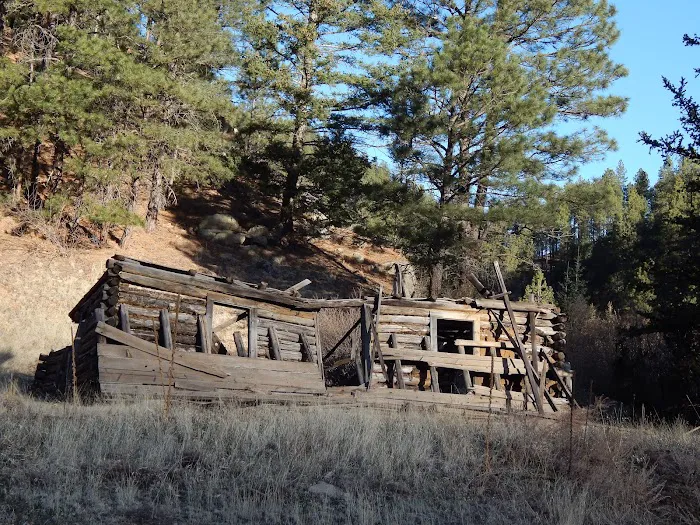 Santa Fe National Forest Field Tract Campground Picture 5