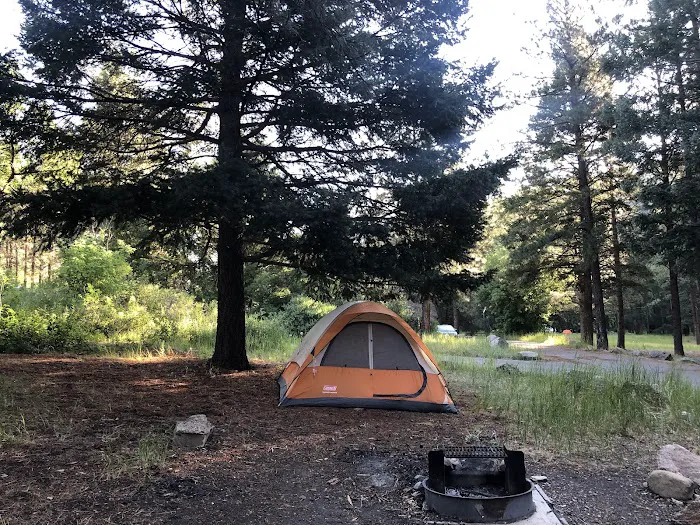 Santa Fe National Forest Field Tract Campground Picture 9