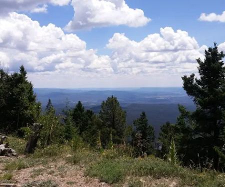 Glorieta Picnic Site (recgovnpsdata)