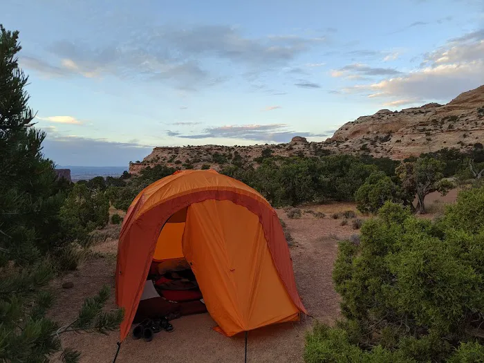 Island in the Sky (Willow Flat) Campground Picture 8