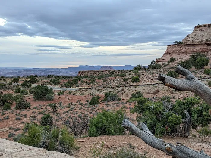 Island in the Sky (Willow Flat) Campground Picture 7