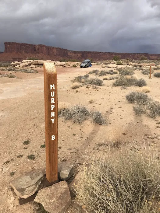 Murphy Hogback Campground B Picture 4