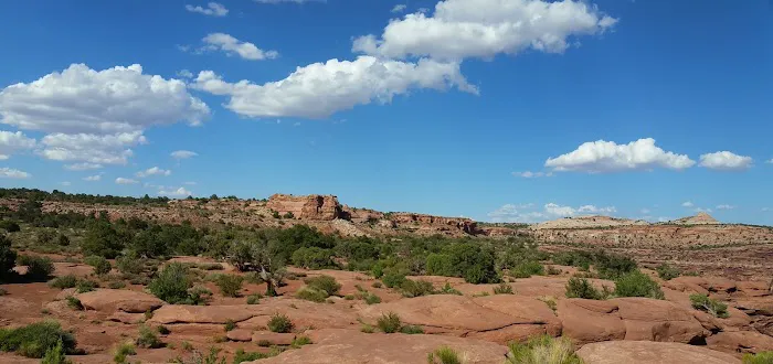 Murphy Hogback Campground C Picture 2