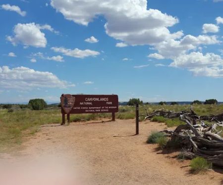 Murphy Hogback Campground C