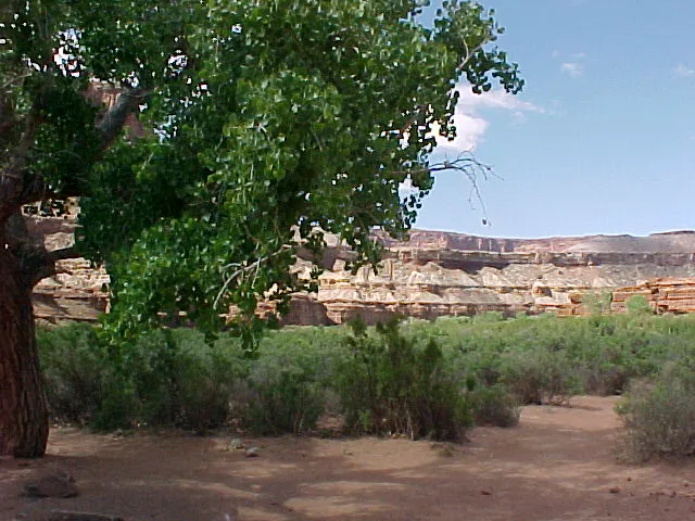 Hardscrabble Bottom Campground A Picture 4
