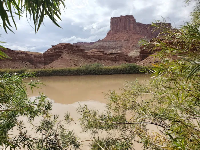 Potato Bottom Campground C Picture 9
