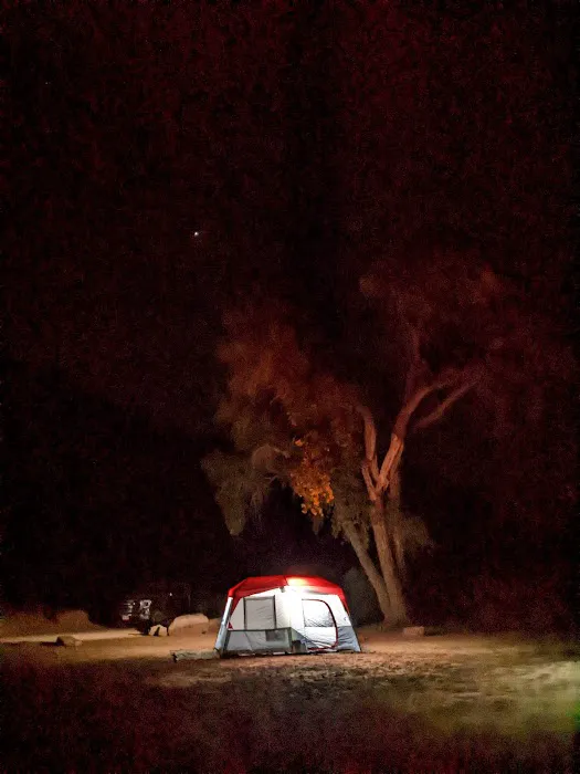Potato Bottom Campground A Picture 3