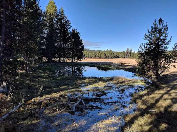 Bingham Prairie Campground Picture 4
