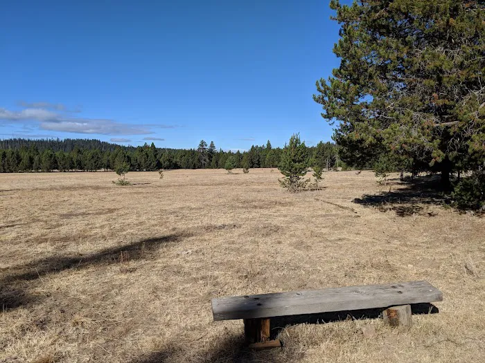 Bingham Prairie Campground Picture 1