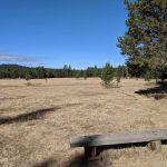 Bingham Prairie Campground
