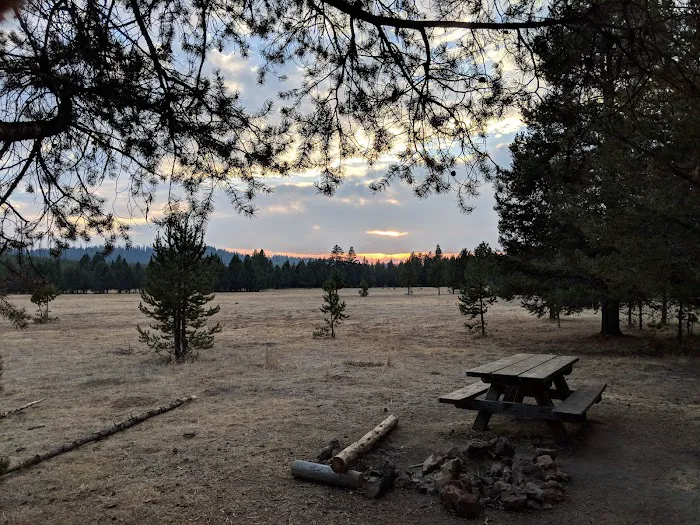Bingham Prairie Campground Picture 3