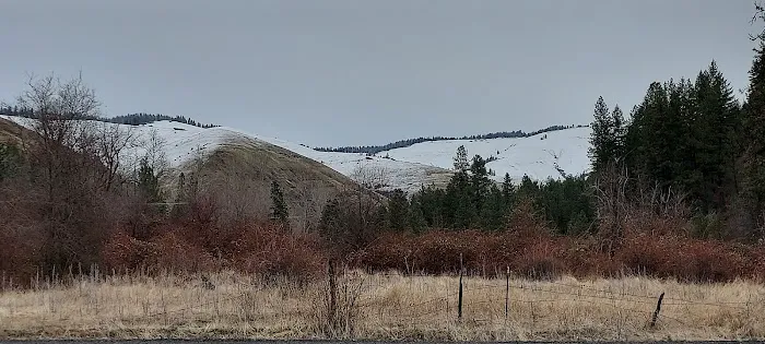 Bingham Springs Campground Picture 9