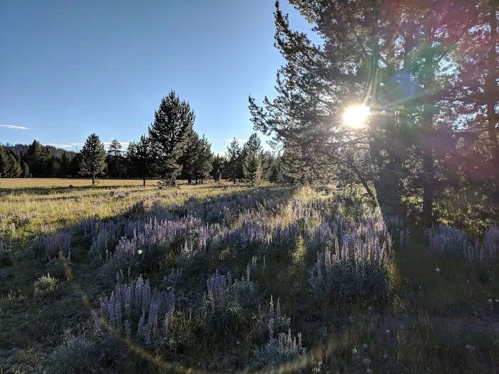 Bingham Springs Campground Picture 7