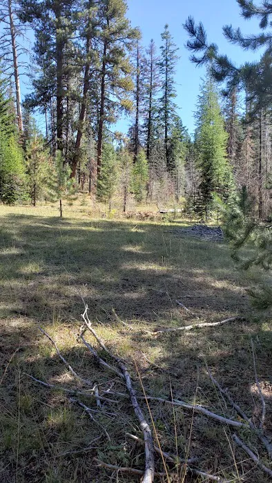 Whistler Campground Picture 2