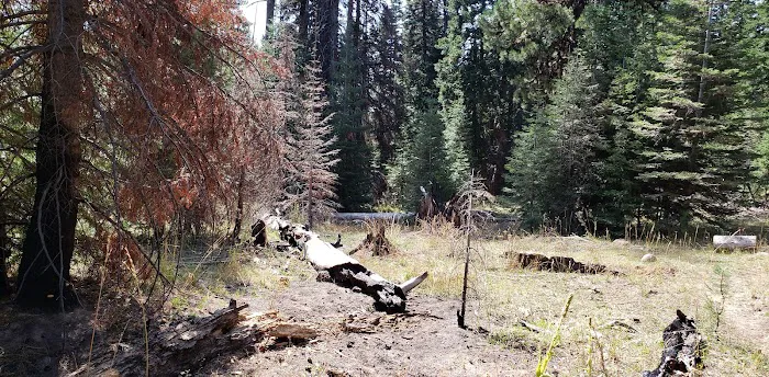 Whistler Campground Picture 6