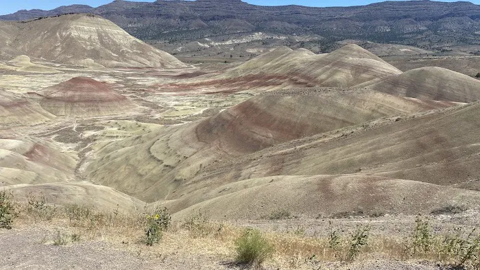 Ochoco Divide Campground Picture 3