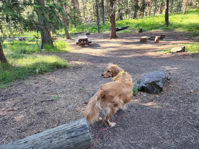 Ochoco Divide Campground Picture 6