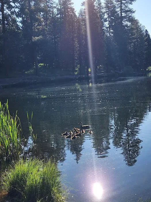 Walton Lake Picture 5
