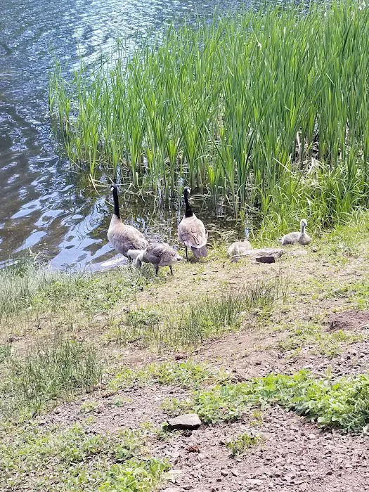 Walton Lake Picture 8