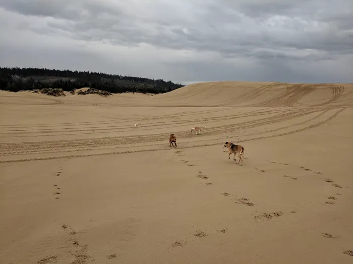 Hauser Sand Camping Access Picture 7