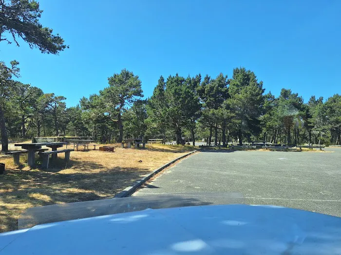 Horsfall Campground Picture 2