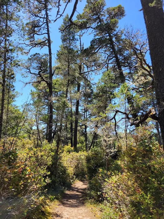 Bluebill Trailhead Picture 7