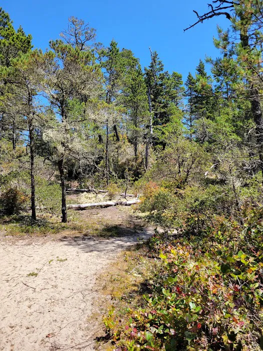 Bluebill Trailhead Picture 9