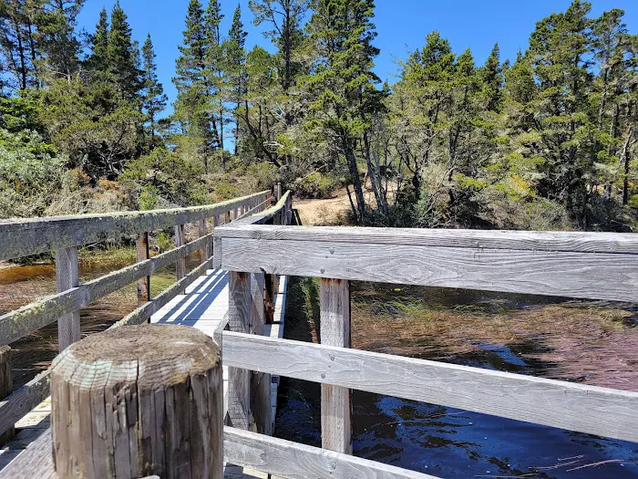 Bluebill Trailhead Picture 6