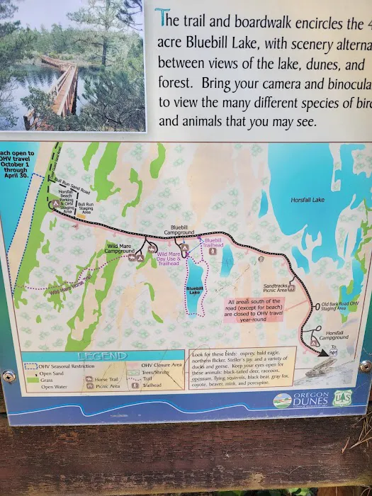 Bluebill Trailhead Picture 5