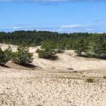 Bluebill Trailhead