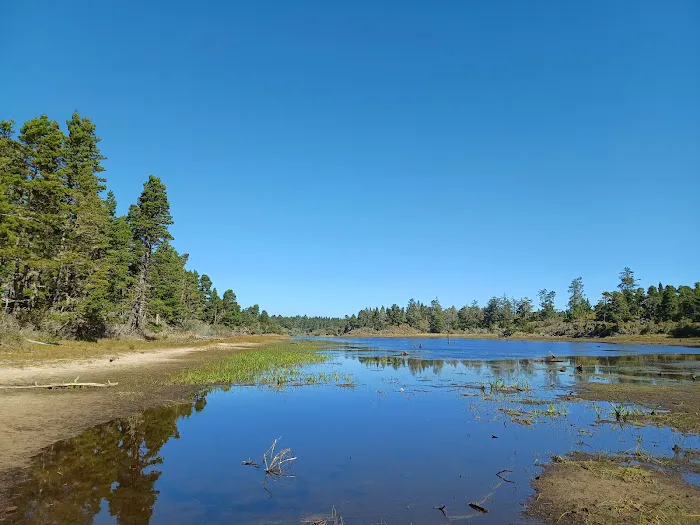 Bluebill Campground Picture 2