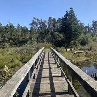 Bluebill Campground ico